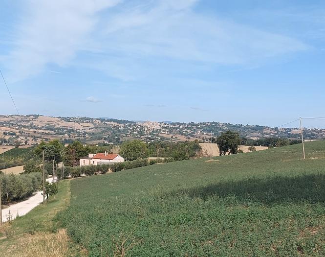 azienda agricola 